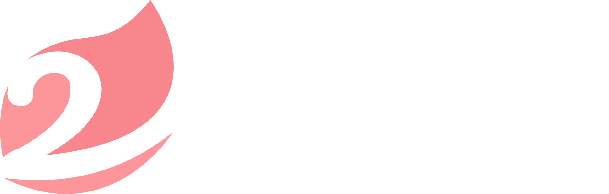 logo second vision corp