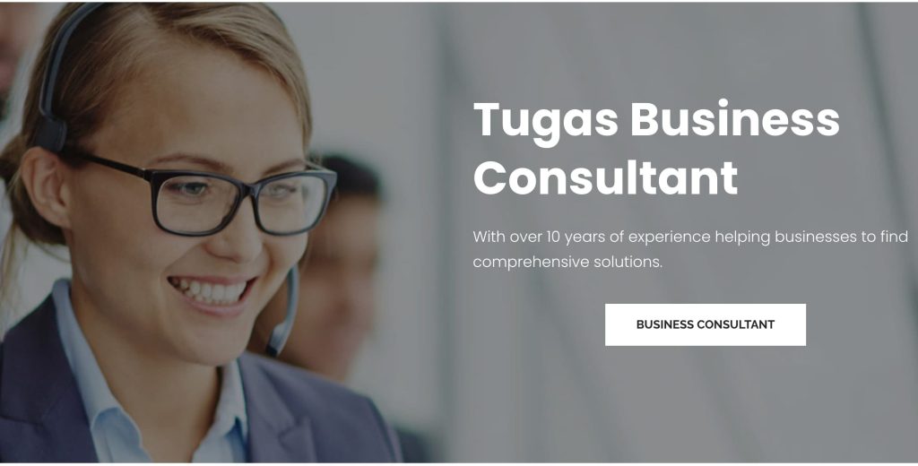 Apa Itu Business Consultant? Inilah Tugas Business Consultant