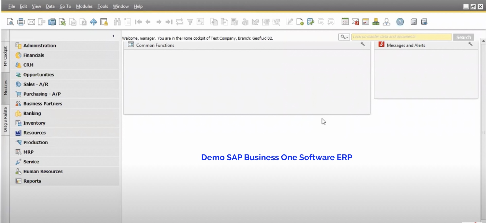 Demo SAP Business One Software ERP